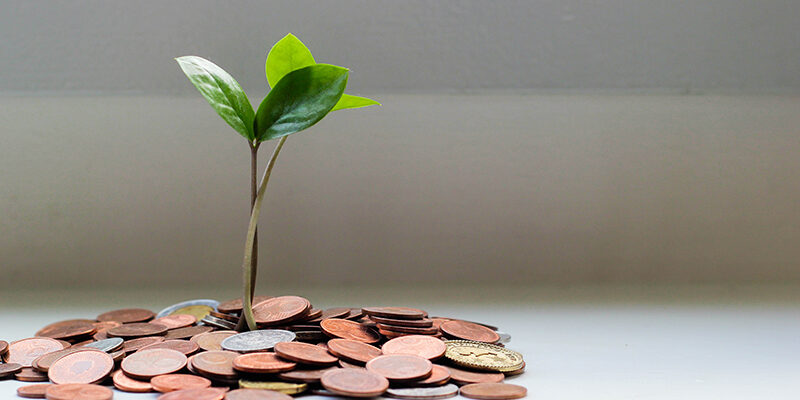 Spectre Markets Hero image of plant growing with money